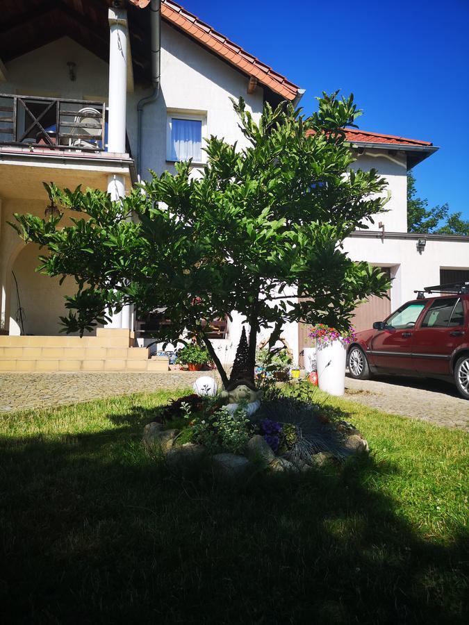 Casa Del Fasa Apartment Поляница-Здрой Екстериор снимка
