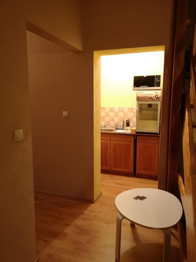 Casa Del Fasa Apartment Поляница-Здрой Екстериор снимка